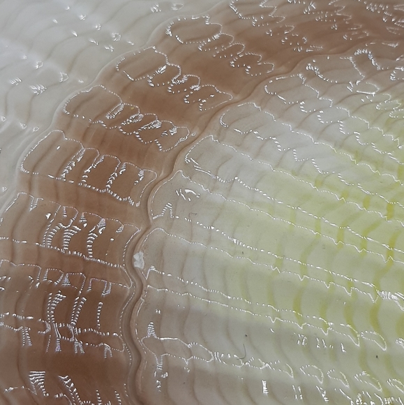 Otagiri Sea Shell Beachcomber Ceramic Plate Trinket Dish Vintage Hand Painted - Picture 9 of 9